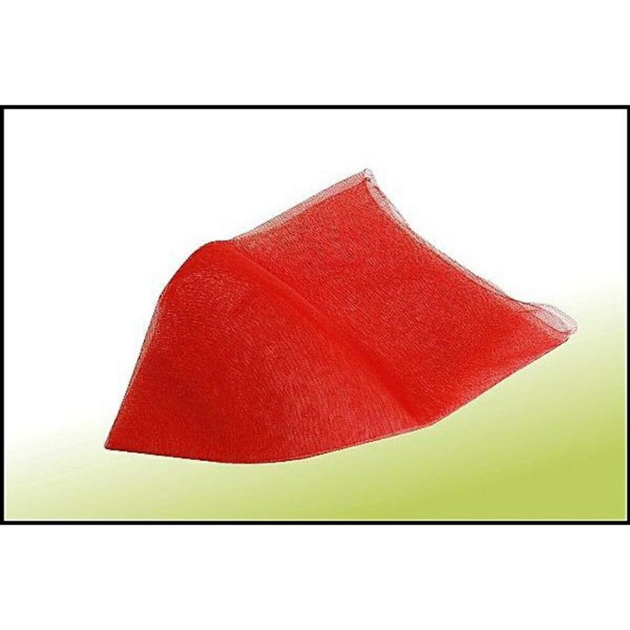 鮎(アユ) 手すき替網 39cm/2.5mm目 赤 (180305rd) : 船竿 沖釣り 船