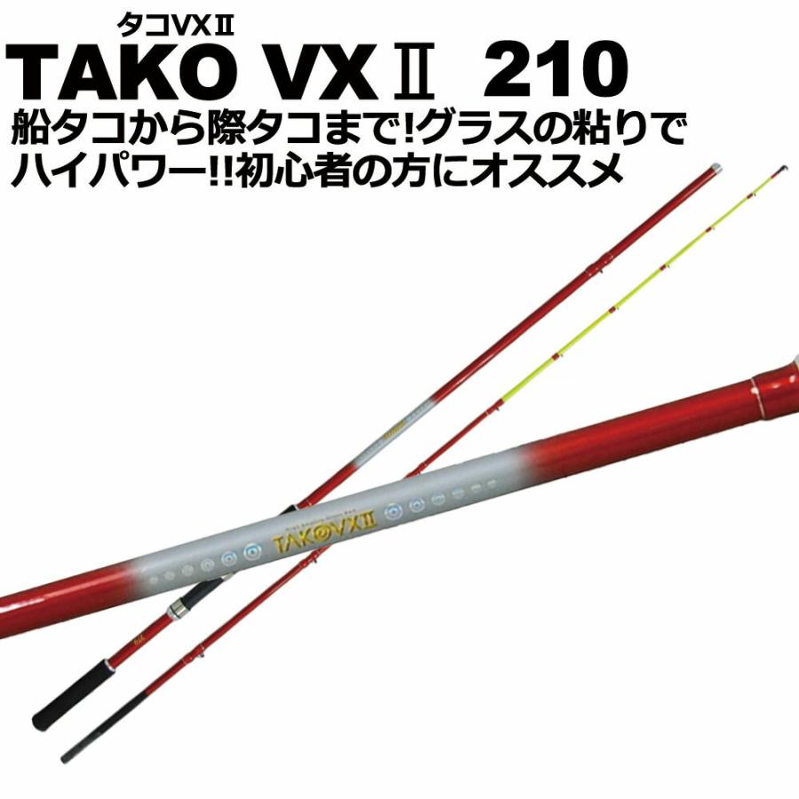 タコ釣り 入門 セット 「タコVX2 210 ＆ タコ専DX TSD4000 PE