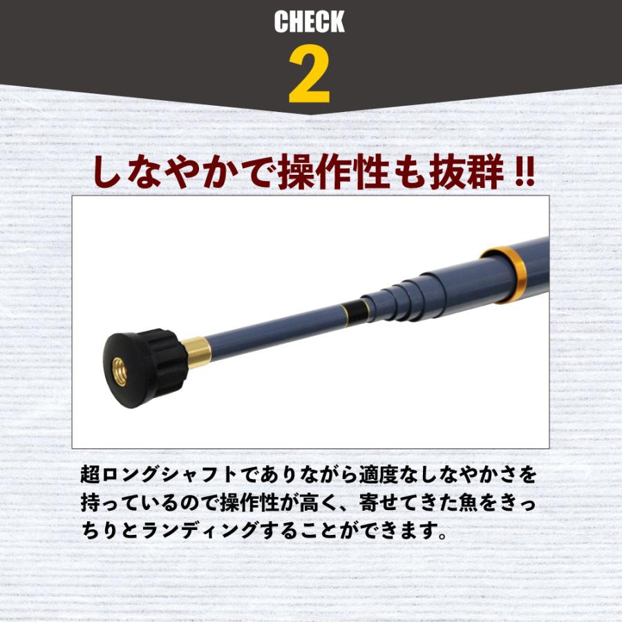 ショアジギング ランディング ギャフ 3点セット 8M ロープ掛け付ギャフ ＆ アダプター \u0026 BlueLarcal 磯玉の柄800 (gaffset-10)爆買_5