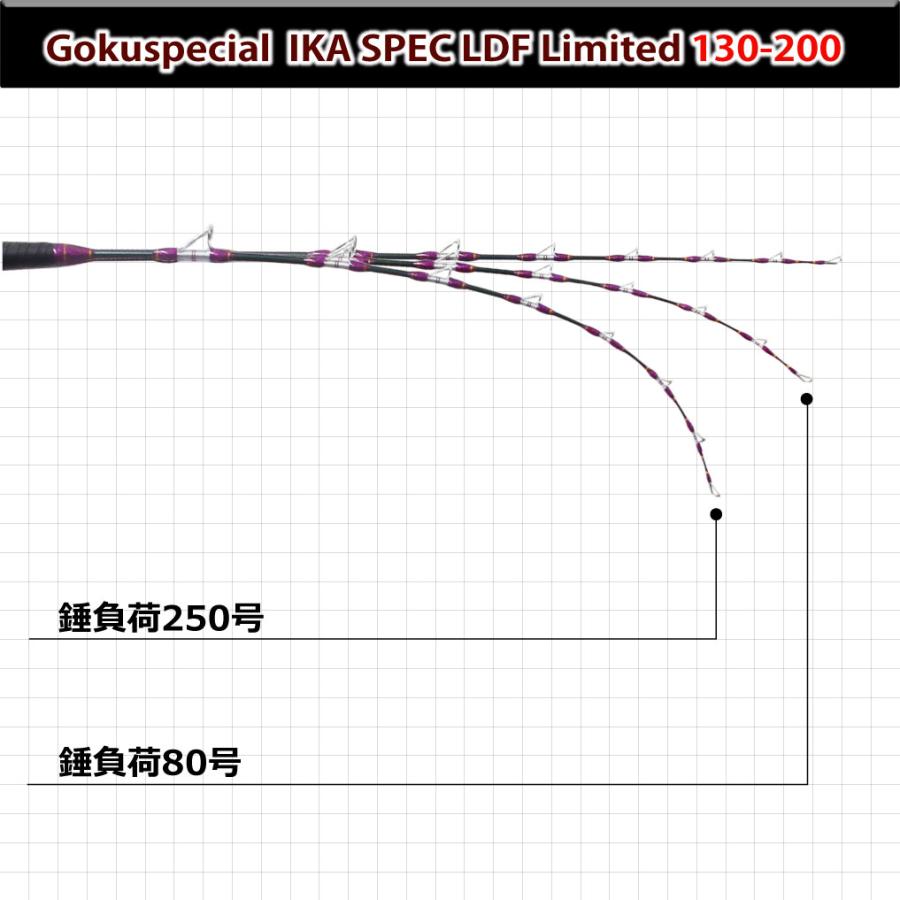 Gokuspe 船イカ専用竿 ゴクスペシャル イカスペック 130-200 Gokuspe 船イカ専用竿 ゴクスペシャル イカスペック 130-200
