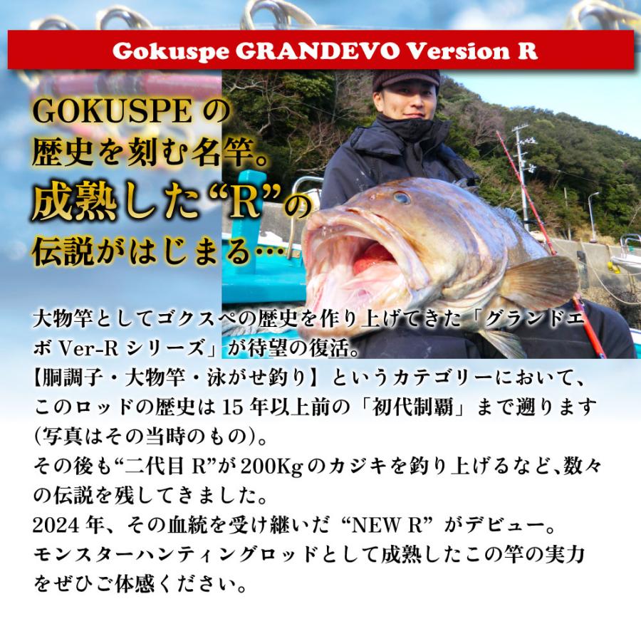 Gokuspe 送料無料 ゴクスぺ GRANDEVO Version R 185-400(200-450号