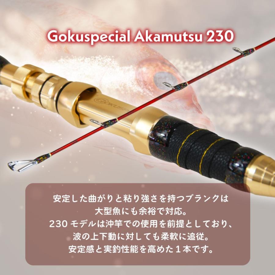 Gokuspe ゴクスペ 船竿 ゴクスペシャル アカムツ 230(goku-961710