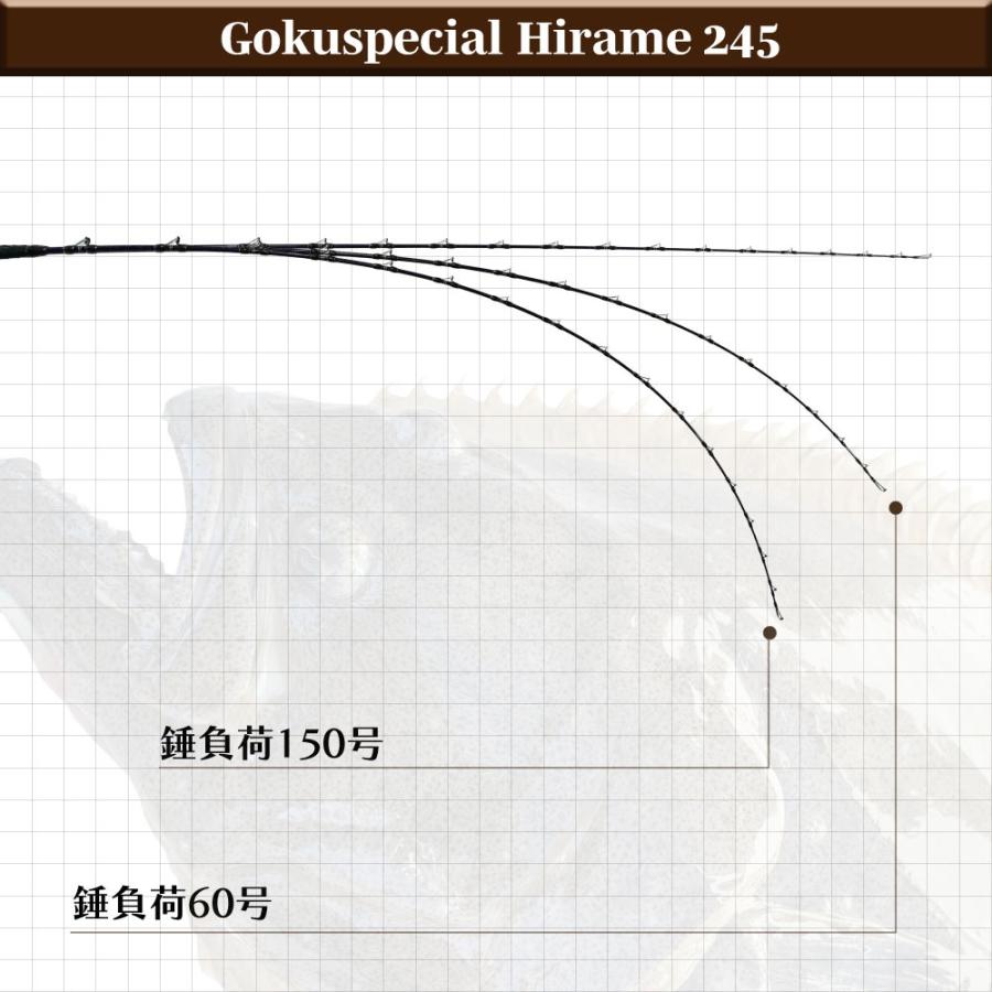ゴクスペ ゴクスペシャル ヒラメ 245(goku-961734)爆買の画像