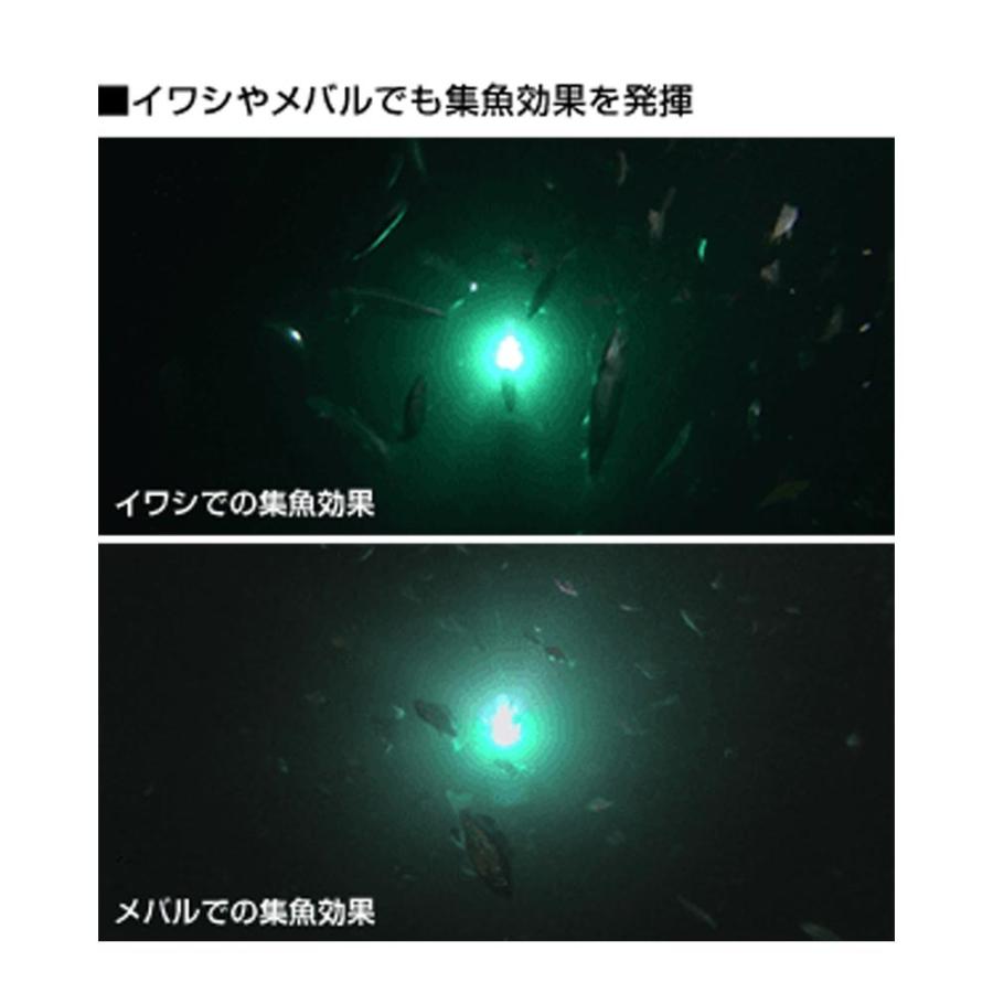 50 Off 倍倍ストアポイント10倍 送料無料 ハピソン Yf 500 乾電池式led 水中集魚灯 Hapyson 船釣り アジ イワシ ヒイカ 集魚灯 集魚ライト 美しい Zoetalentsolutions Com