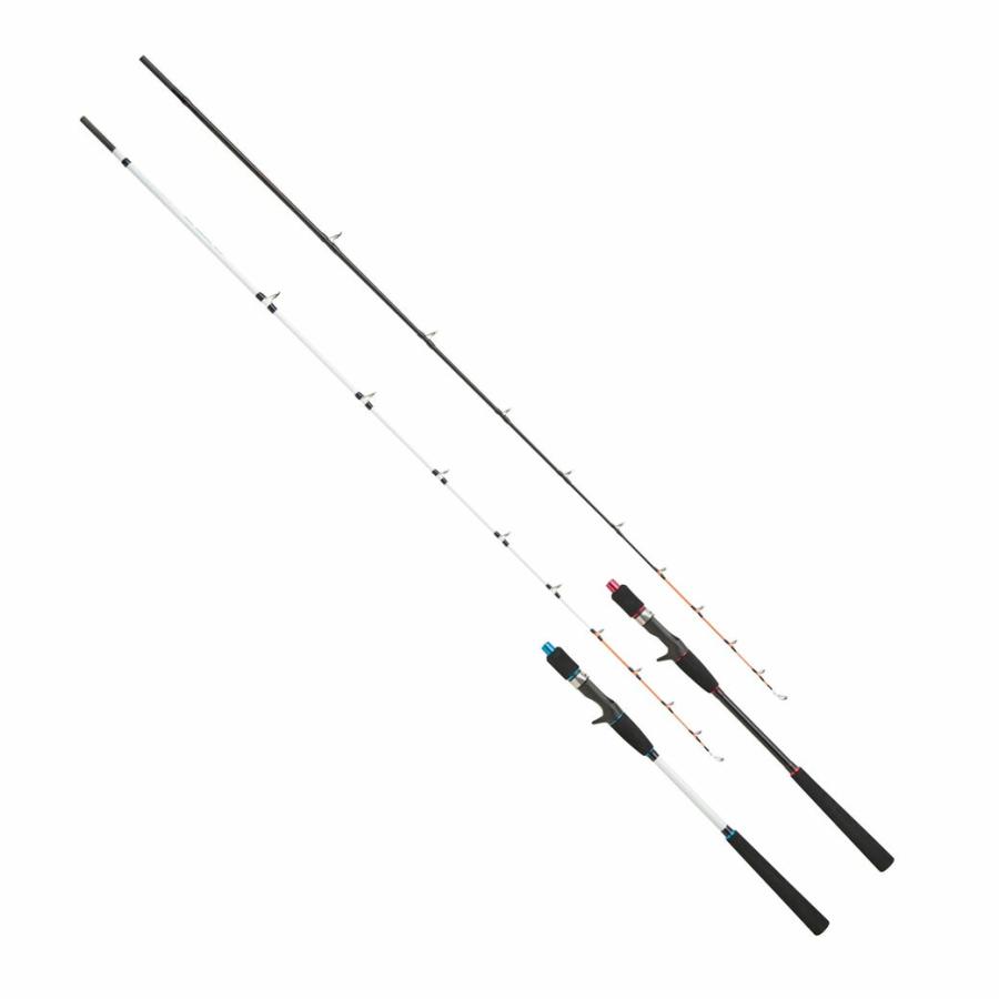 ２点分 プロマリン（PRO MARINE） ソリディアタコエギ170MH(hd-170mh) : 船竿