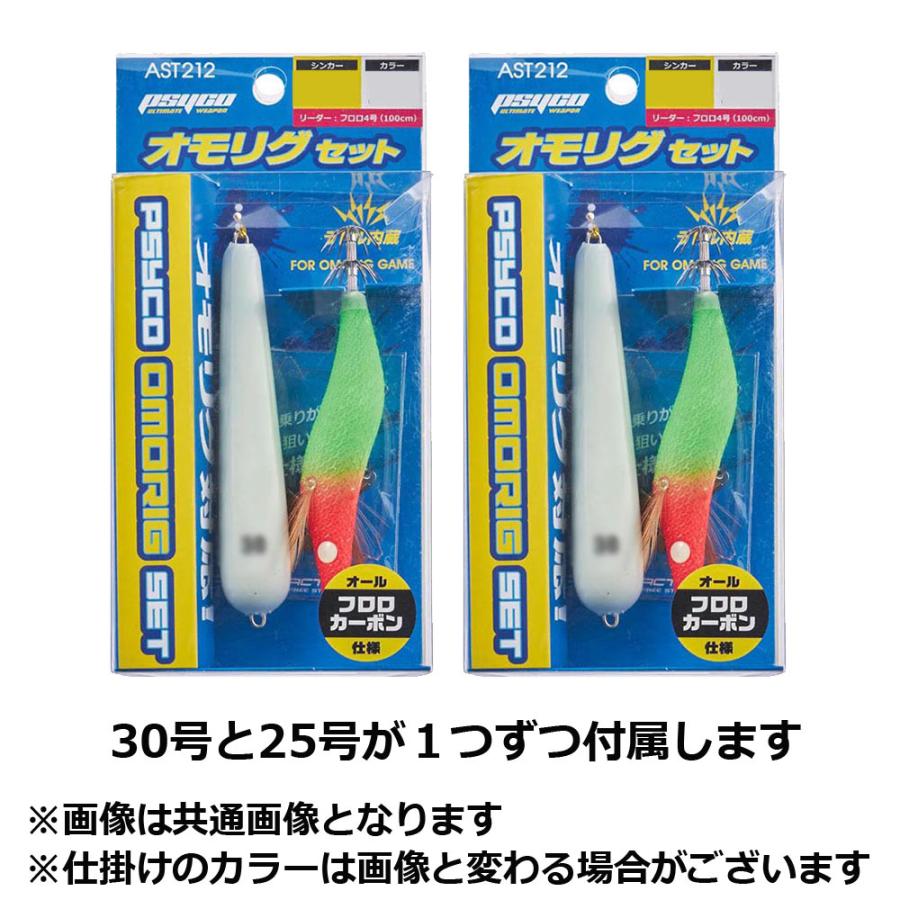 イカメタル・オモリグセット（約200点） 【公式通販】