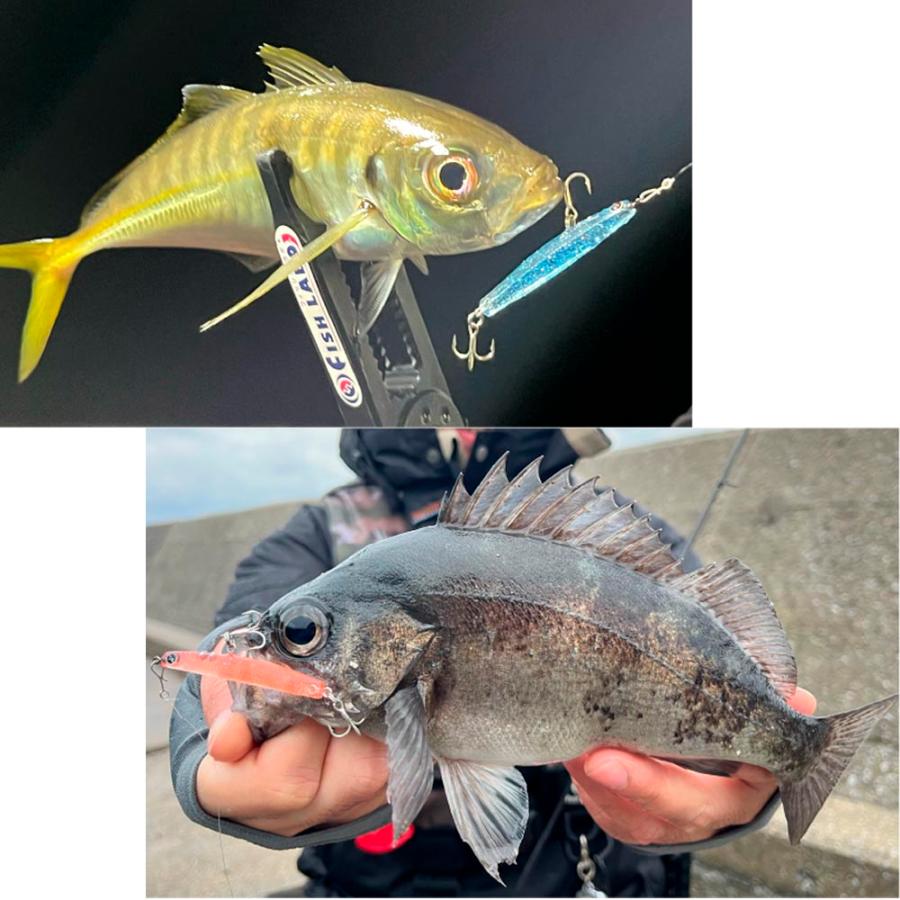 ※デラックス※ おり釣具 キャスティングタコに タコエギロッド＆スピニング