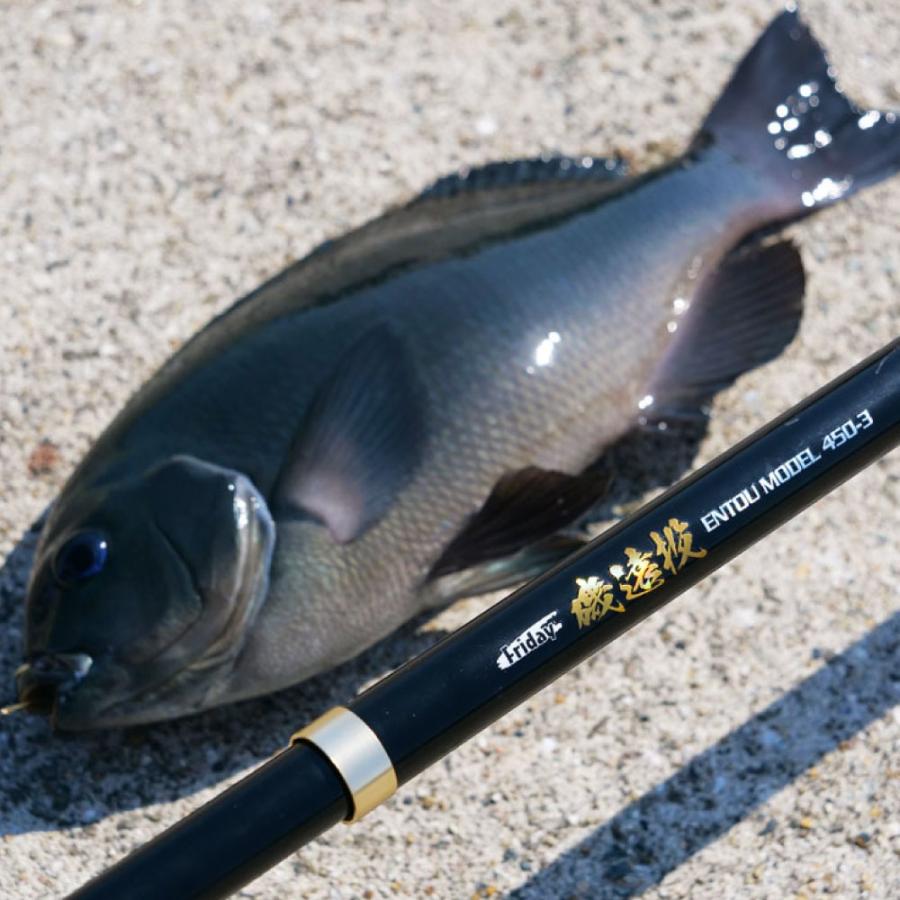 おり釣具 カゴ釣り ぶっこみ釣り フライデー磯遠投 5-530(10-20号)(ori