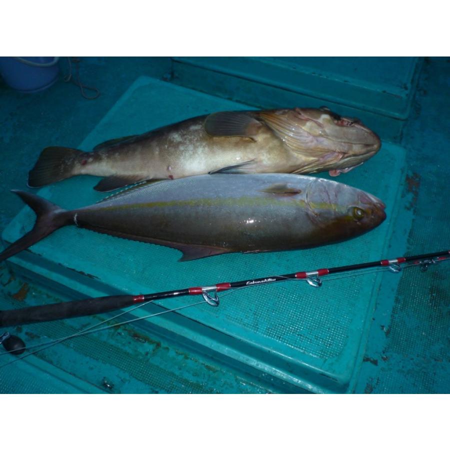 新版 期間限定送料無料 青物専用 二代目 青物キリング190 100号 Black Brown Ori Aomono190 100 コンビニ受取対応商品 Www Thedailyspud Com