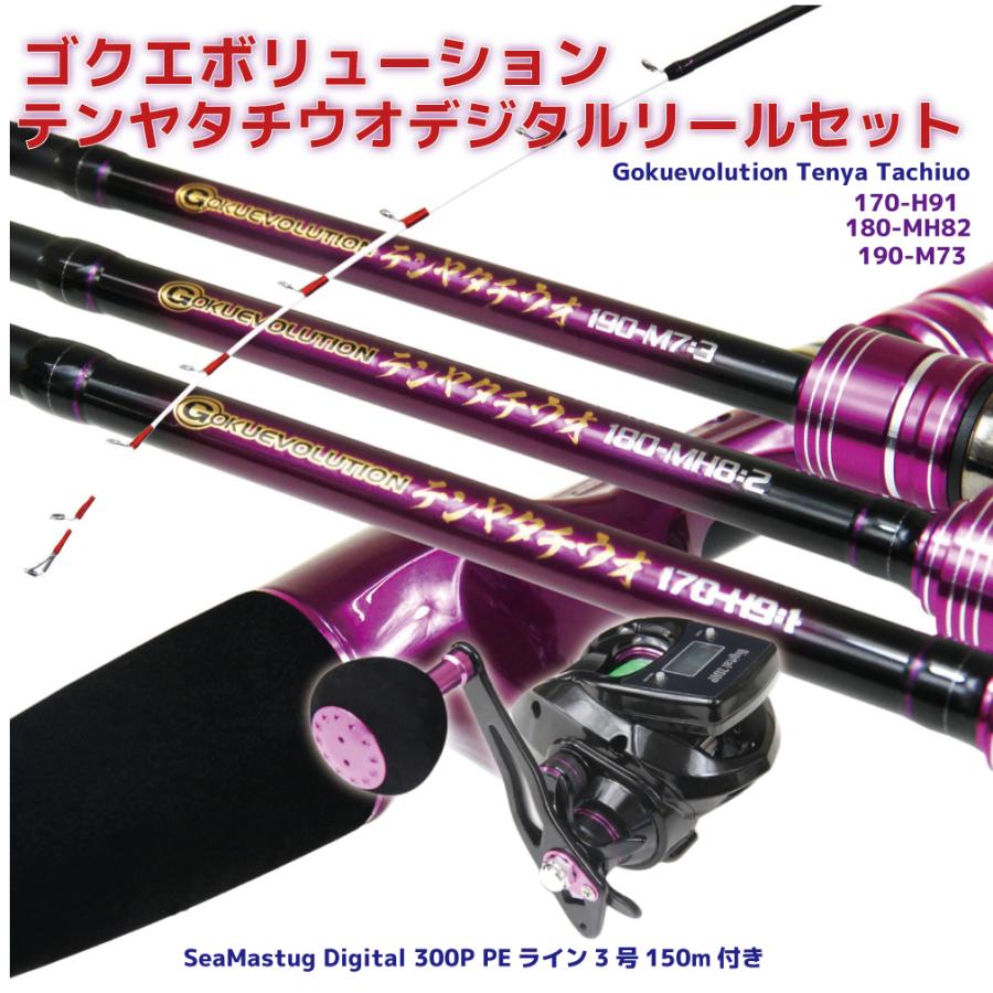 タコ 太刀魚 MAX300g 大型液晶カウンター付ベイトリール セット