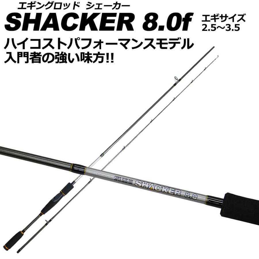シーバスロッド＆リール セット DESIDE SP 8F&V-MAX 3012 DX-PE