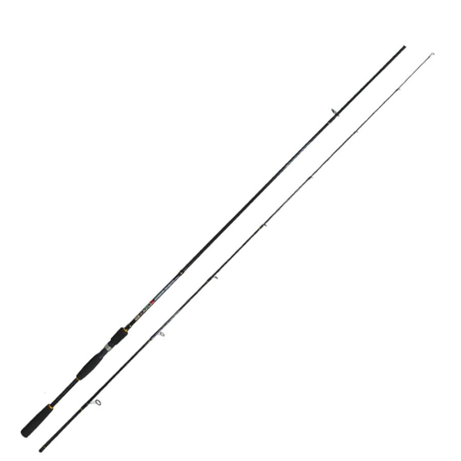 おり釣具 DESIDE SP 10F&V-MAX 3012 DX-PE シーバスセット (seabassset
