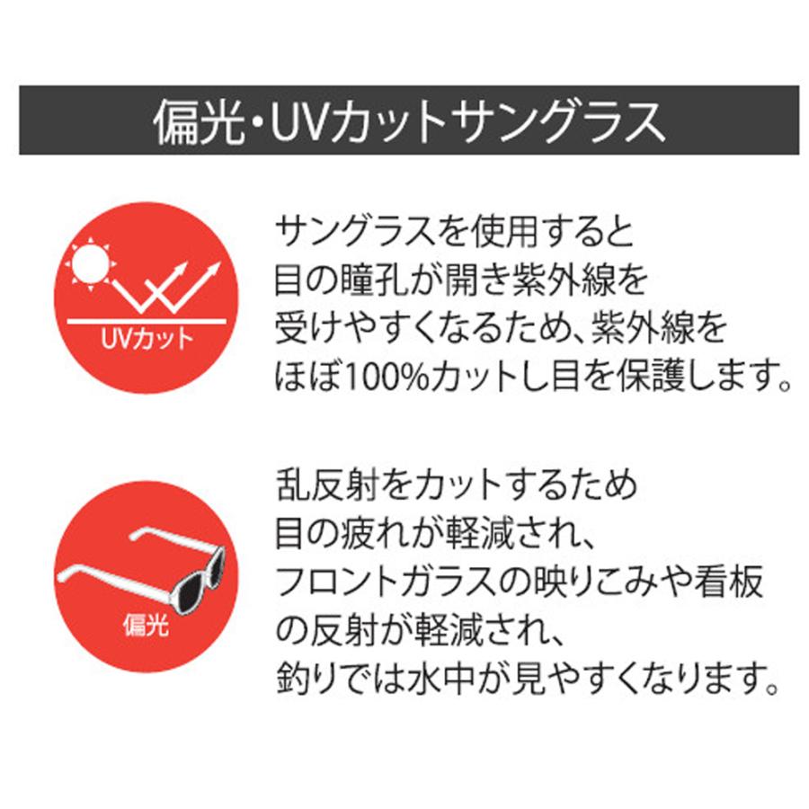 楽一番専用 solfiesta 偏光サングラス VACS SG-003(solf-216358) : 船竿 沖