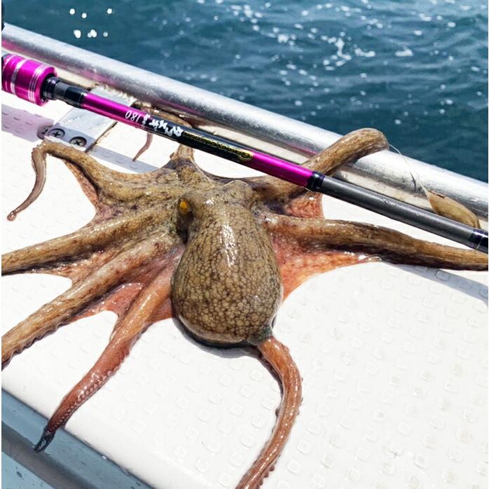 タコロッド　タコ釣り　1ピース　180㌢ タコロッド タコ釣り 1ピース 180㌢ （堤防＆船】タコ釣りに