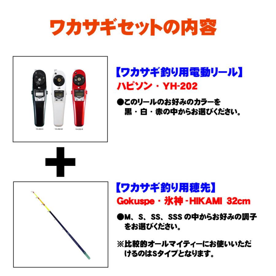 【専用】ゲームソフト4点セット ゴクスペ ワカサギ替え穂先 氷神32cm 1本 ＆ ハピソン水深