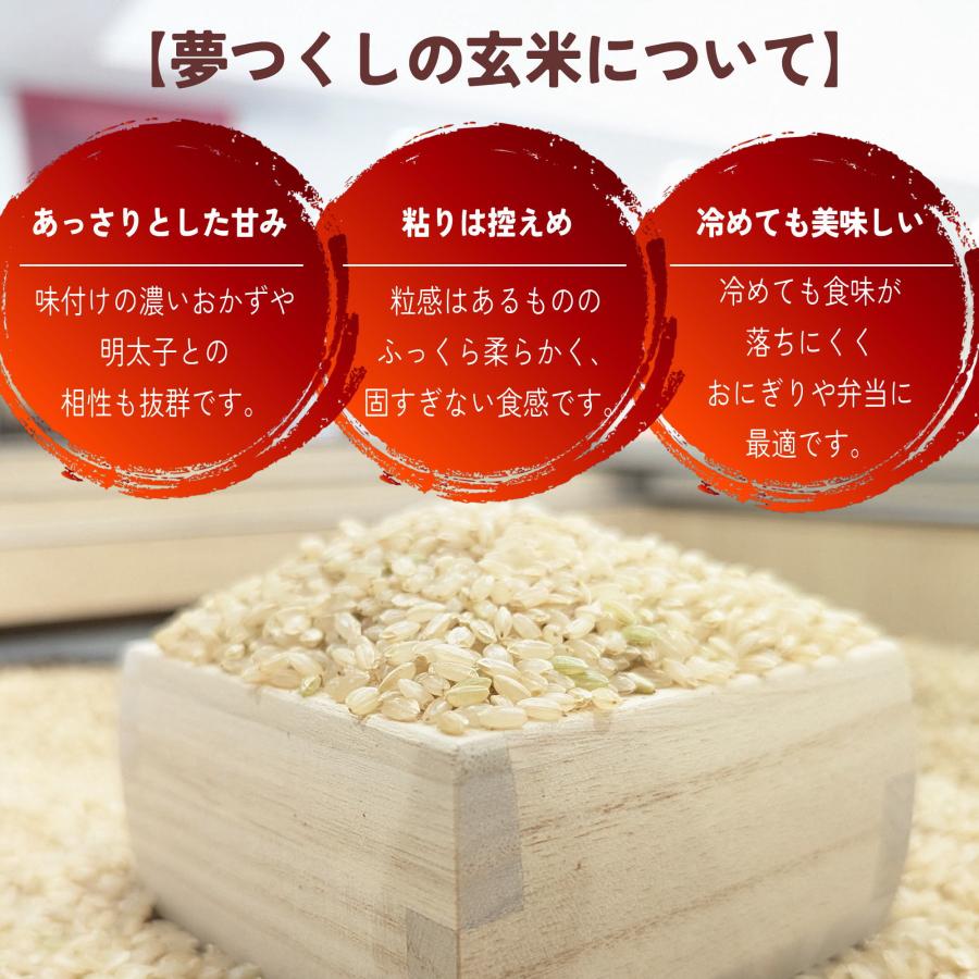 米 10kg（5kg×2袋） 福岡県産 夢つくし 令和7年度産 玄米 お米 [発送 