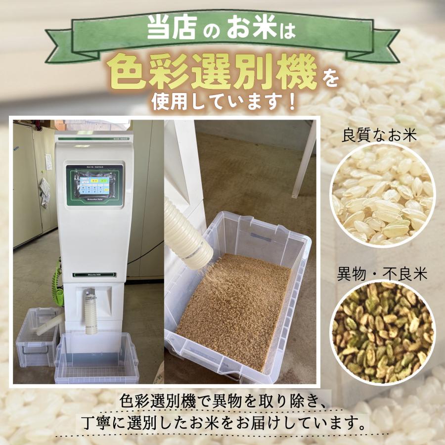 米 10kg（5kg×2袋） 福岡県産 夢つくし 令和7年度産 玄米 お米 [発送 