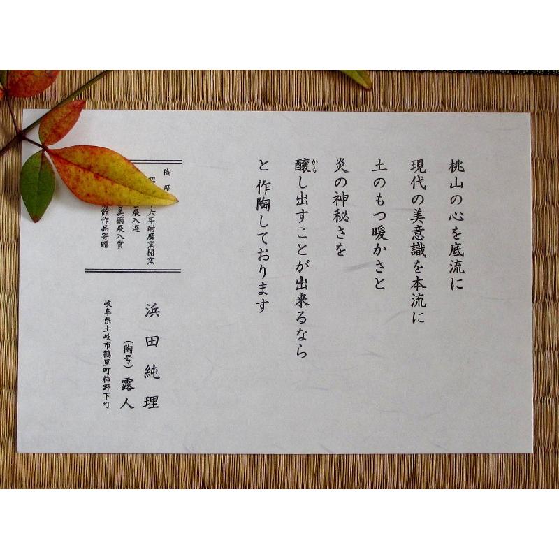 抹茶茶碗 黄瀬戸 山柿 茶碗 浜田純理 露人 HA-104 : 織部の器 千瓢