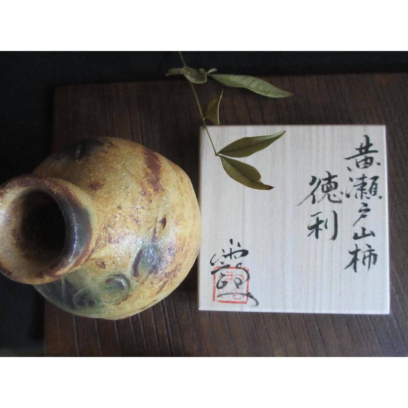 酒器 黄瀬戸 山柿 徳利 (共箱） 浜田純理 露人 HA-367 : 織部の器 千瓢