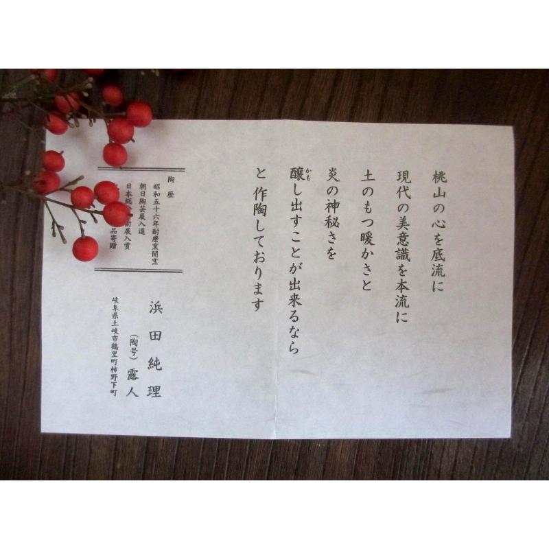 酒器 黄瀬戸 山柿 徳利 (共箱） 浜田純理 露人 HA-367 : 織部の器 千瓢