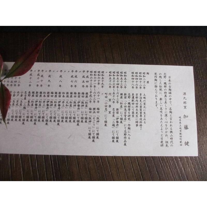 抹茶碗 鼠志野 草文 茶碗 源九郎窯・加藤健 KA-215の画像