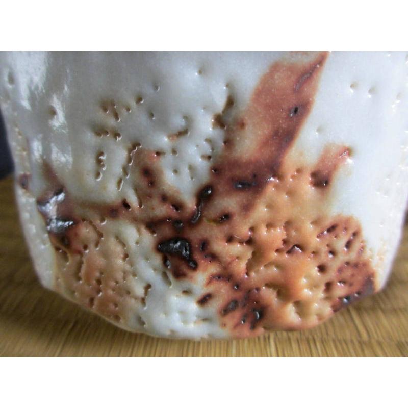 抹茶碗 志野 垣根紋 茶碗（共箱） 源九郎窯・加藤健 KA-244の画像