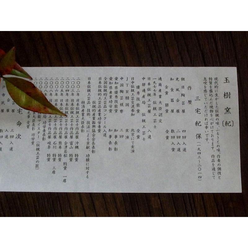 ぐい呑み 鉄釉 ぐい呑 玉樹窯 三宅紀保 MY-355の画像