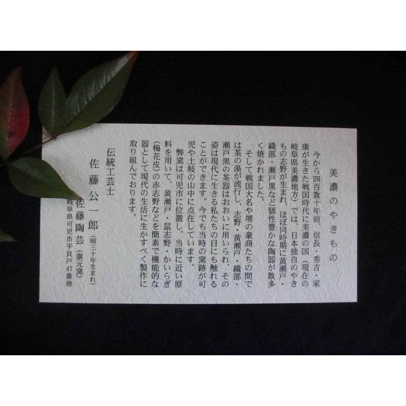 皿 梅皮花 赤志野 五寸 深皿 康元窯 佐藤公一郎 SK-125 : 織部の 皿 梅皮花 赤志野 五寸 深皿 康元窯 佐藤公一郎 SK-125 : 織部の
