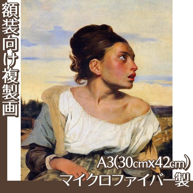 複製画A3(額無し) ドラクロワ 全14種 マイクロファイバー製