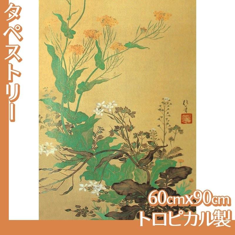 タペストリー60cm×90cm 酒井抱一(No.1~20) トロピカル製 