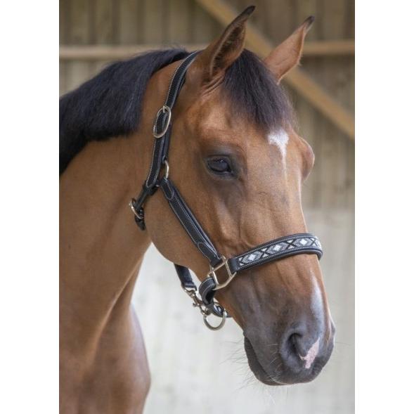 Mondialeシリーズ 無口 乗馬用品オリエンタルソフィー 通販 Yahoo ショッピング