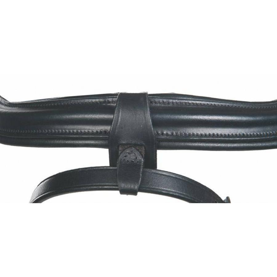 Anatomic コンビ鼻革付 頭絡セット（ハミ・手綱・コンビ鼻革付 