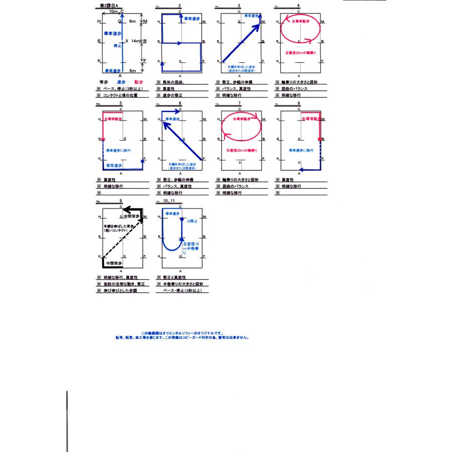 2022年施行 馬場経路図 図解解説明書 : 乗馬用品オリエンタルソフィー - 通販 - Yahoo!ショッピング
