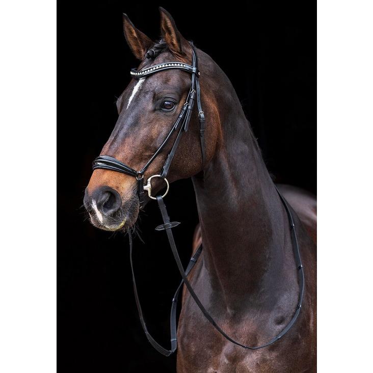 ドイツ鼻革頭絡・手綱付 Carolin : 乗馬用品オリエンタルソフィー