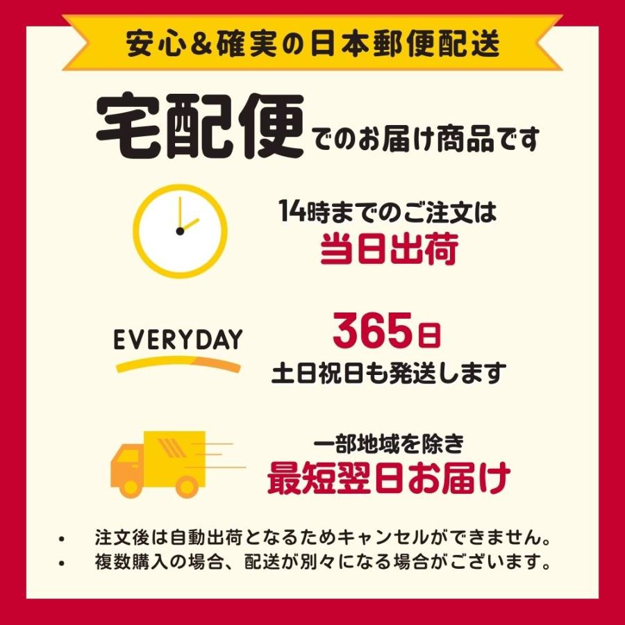クリップハンガー 収納 洗濯 物干しハンガー 10本セット タオル 