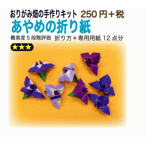 あやめの折り紙 おりがみ畑のプリント折り紙の手作りキット 010 おりがみ畑ショップヤフー店 通販 Yahoo ショッピング