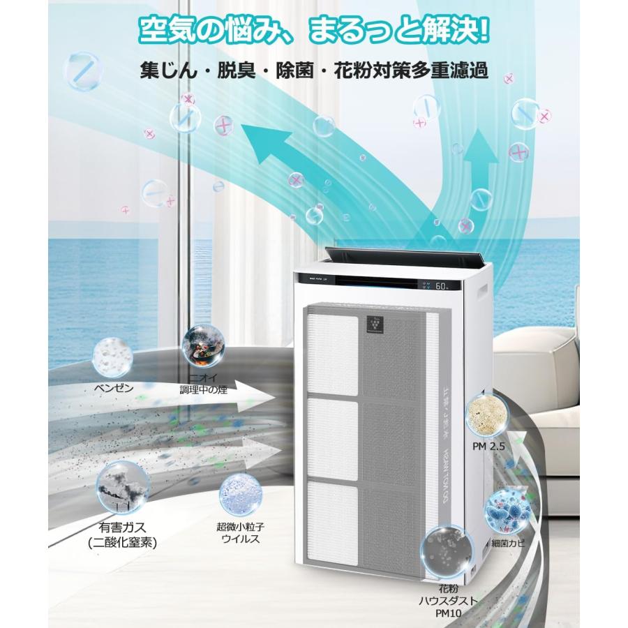 SHARP（シャープ） フィルター FZ-E100HF FZ-E100DF 最新改良版 空気