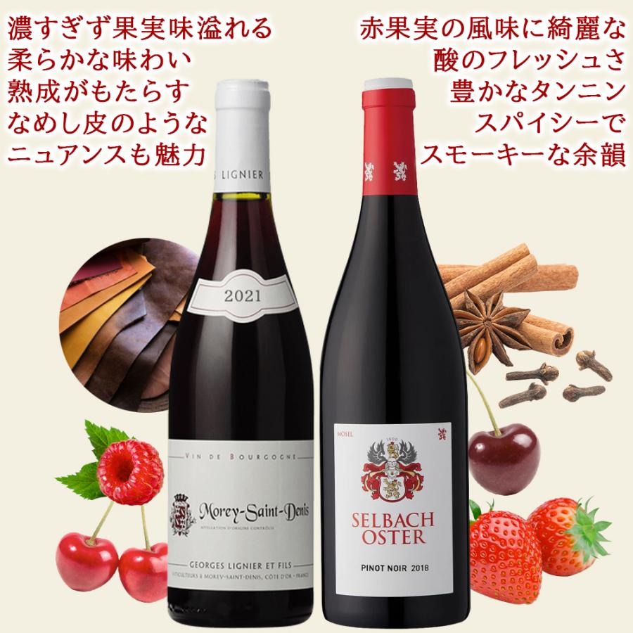 ブルゴーニュ赤ワイン2本セット ブルゴーニュ赤ワイン2本セット 送料無料☆村名クラス2本入り】厳選