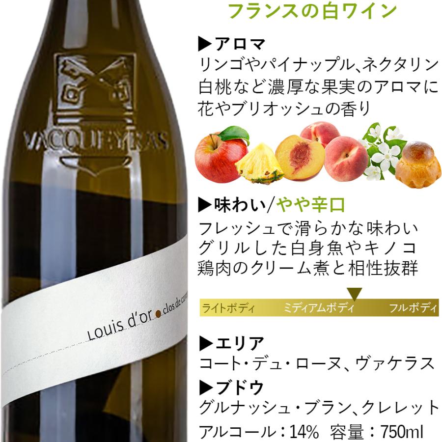 お中元 2026 ワインギフト 飲み比べ2本【無料 熨斗付 メッセージ