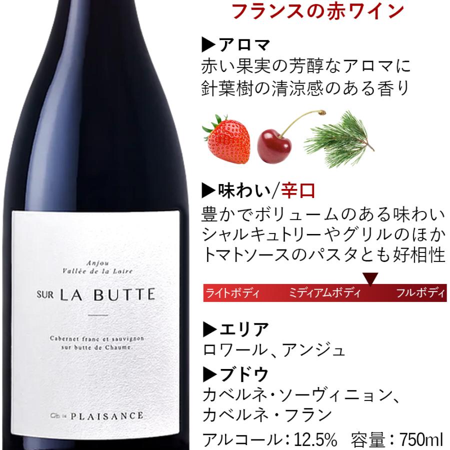 果実酒 古酒 ロワールワイン 2本 【公式通販】