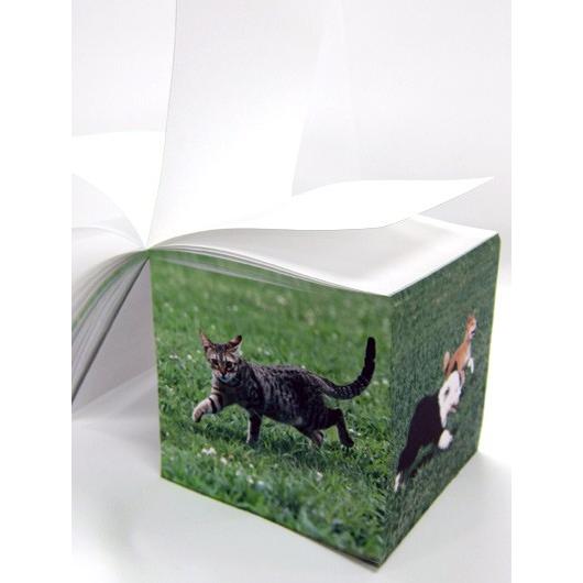 好評 オリジナル ４面印刷 サイコロメモ大 100 100 100mm 1セット ５０個 代引き手数料無料 Kuljic Com