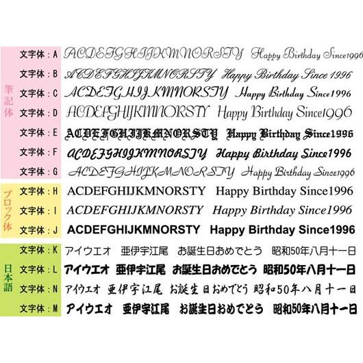 誕生日プレゼント 男性 40代 30代 名入れ プレゼント ＵＳＢミニチャージャー　マイクロＵＳＢ｜original｜06