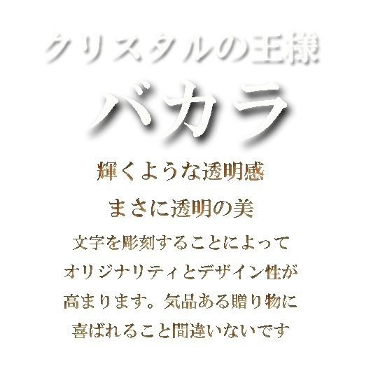 名入れ バカラ お祝い 贈り物 結婚記念 結婚祝い 男性 女性 敬老の日 誕生日 長寿 還暦 古希 傘寿  ギフト バカラ ベガ ロックグラス 2点セット｜original｜17