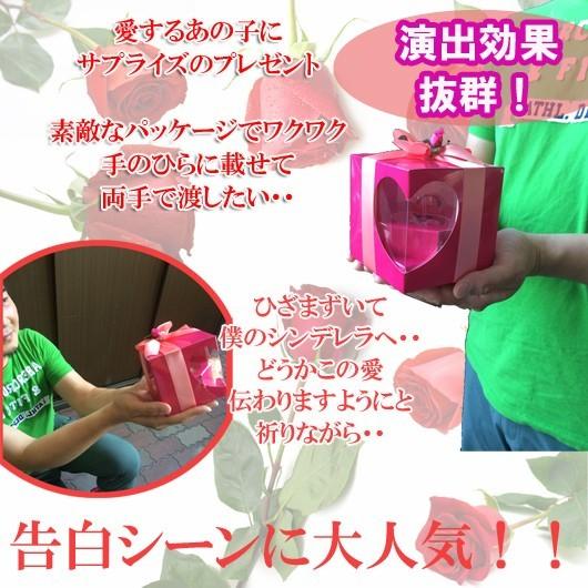 名入れ プレゼント Anniversary 記念日 誕生日 結婚記念日 プロポーズ 彼女 女性 告白 ギフト シンデレラ Story ガラスの靴 クリスタル製 Cr Sz Ct 名入れのギフトハートangelic 通販 Yahoo ショッピング