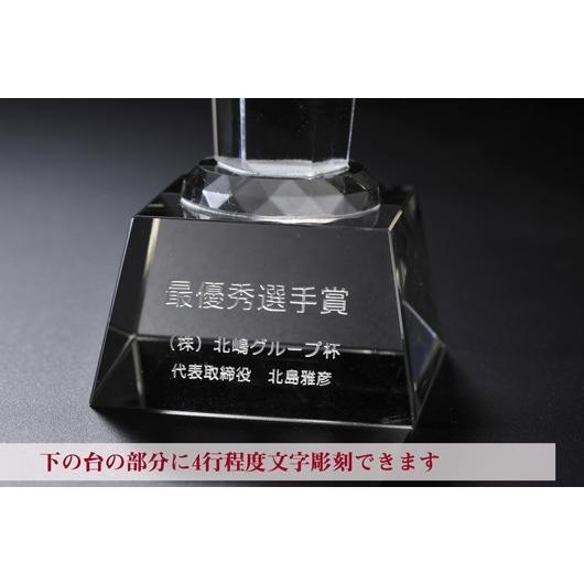 名入れ ギフト SXX インテリア雑貨 クリスタル六角トールトロフィー 布