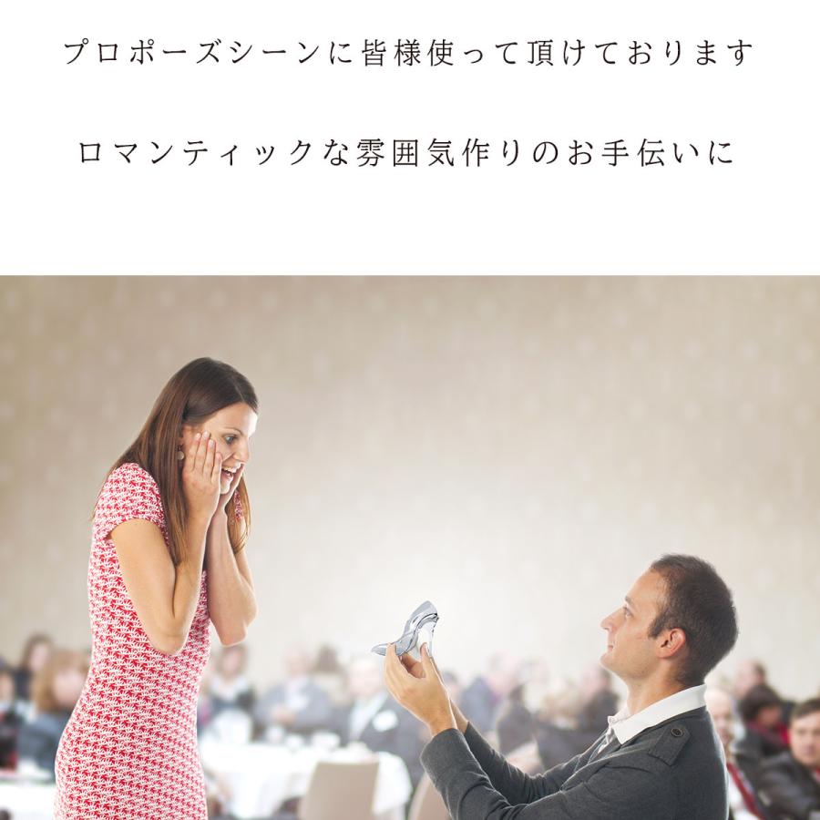 名入れ ガラスの靴 クリスタル製 スリムタイプ 告白 硝子の靴