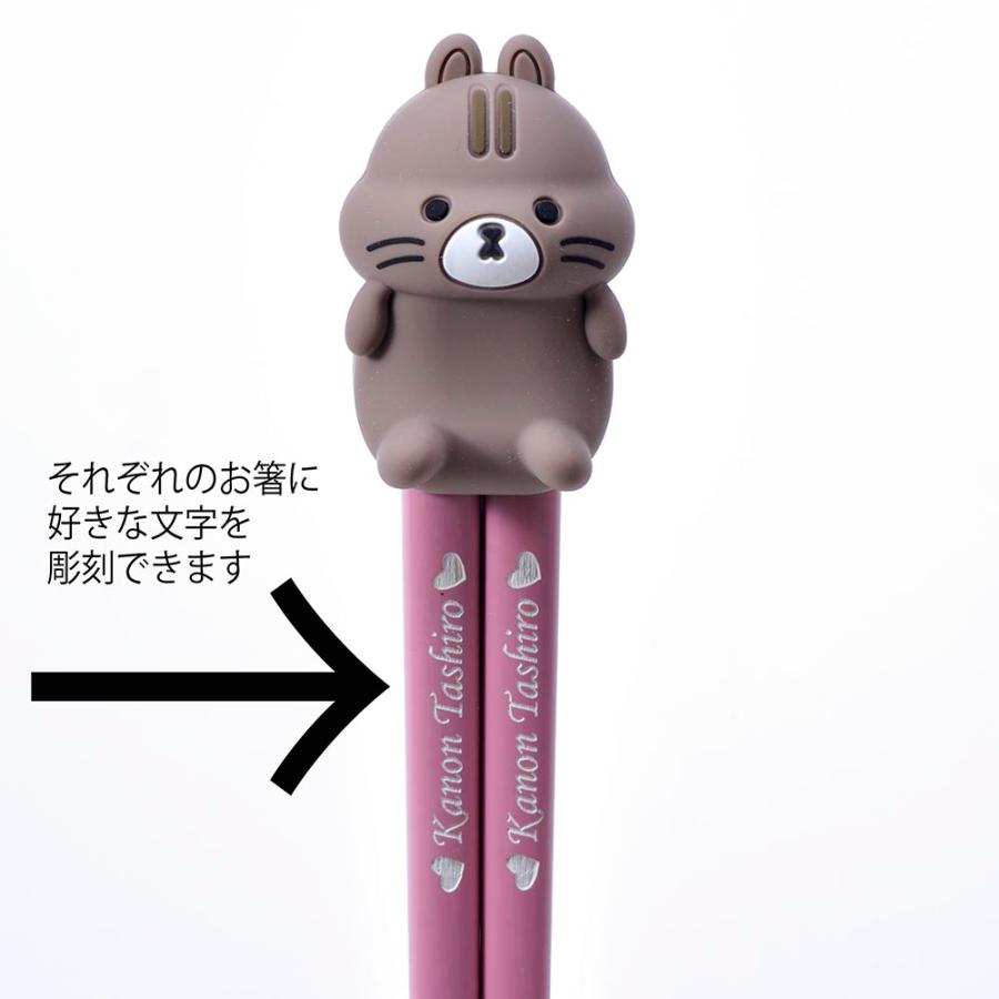 名入れ ギフト LXX 箸セット HASHIMALS 日本製 箸 21cm と アニマル