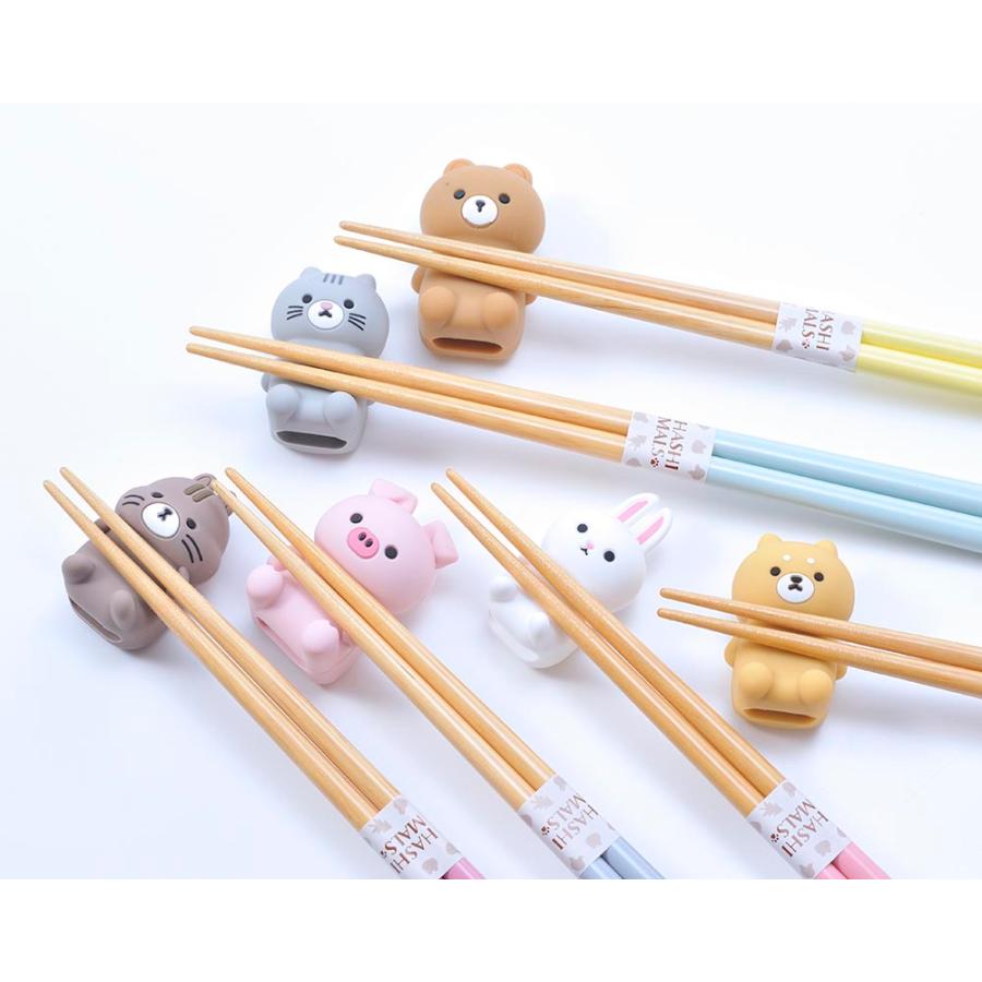 名入れ ギフト LXX 箸セット HASHIMALS 日本製 箸 21cm と アニマル
