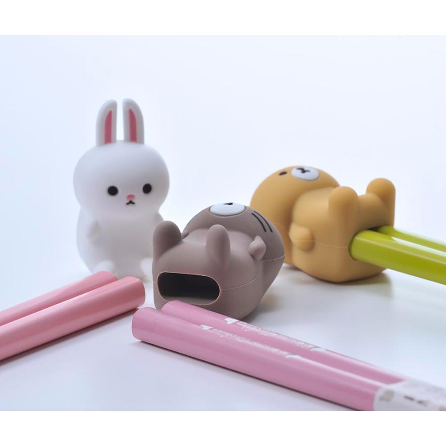名入れ ギフト LXX 箸セット HASHIMALS 日本製 箸 21cm と アニマル