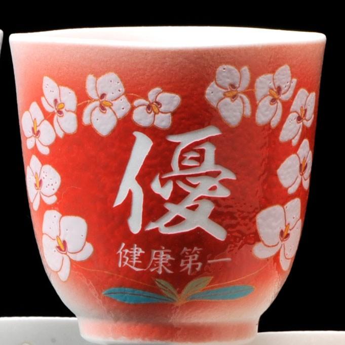 名入れ 還暦祝い セット SXX 還暦 有田焼 胡蝶蘭 赤 茶碗 湯のみ 箸 お